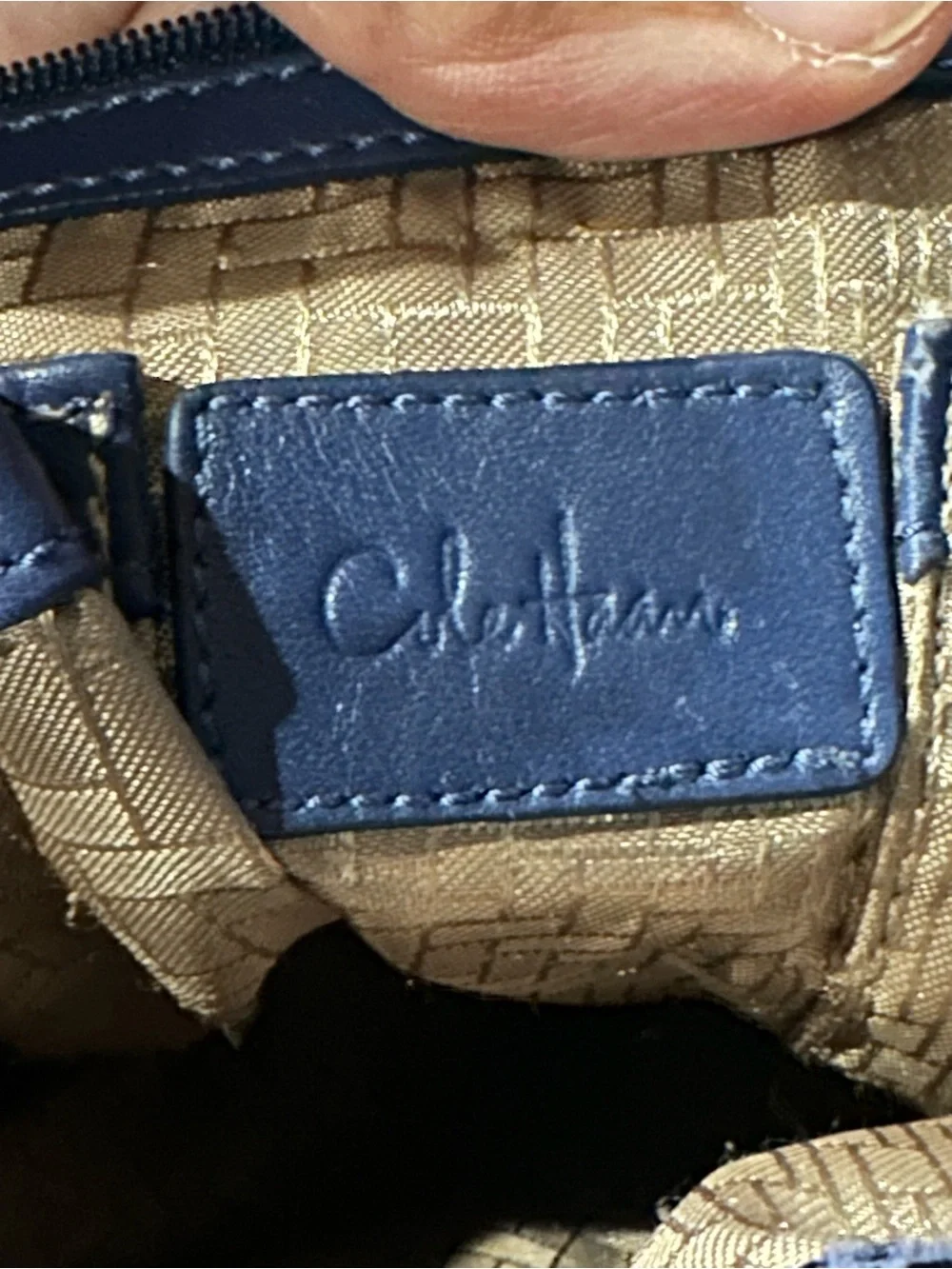 Cole Haan blue snakeskin hobo  Tote with Tassel Accent